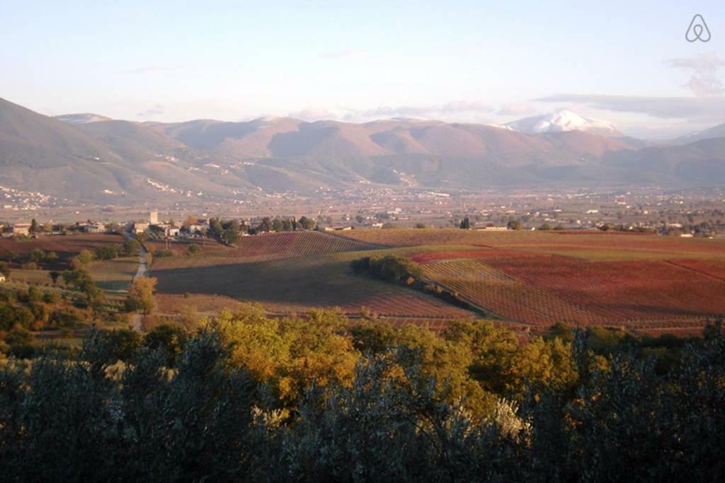 Ciards House Daire Montefalco Dış mekan fotoğraf